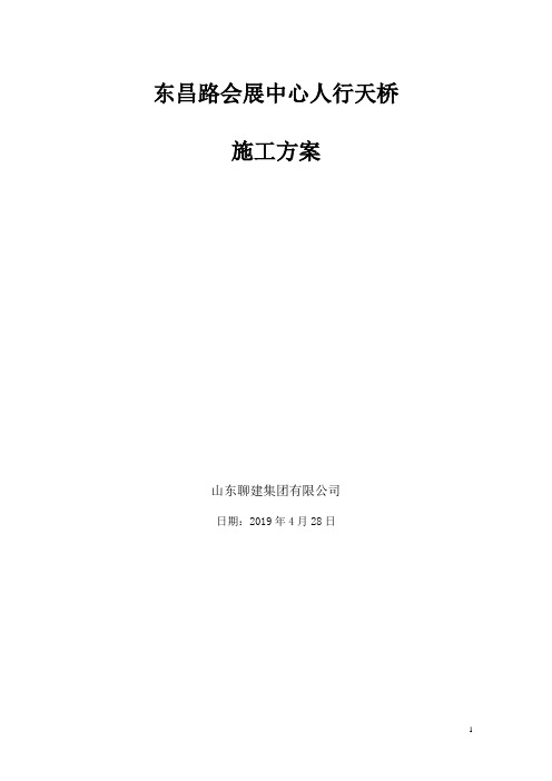 桥梁专家论证施工方案