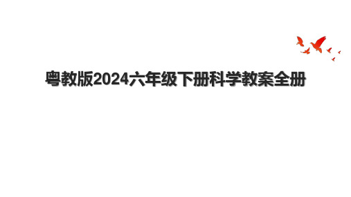 粤教版2024六年级下册科学教案全册.pptx