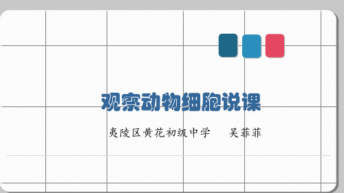 鲁科五四学制版六年级上册生物《第三节 观察动物细胞》(一等奖课件)