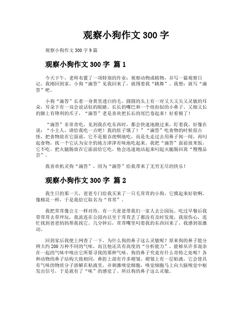 观察小狗作文300字