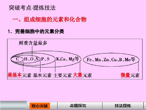 高三一轮复习课件细胞中的元素和化合物公开课ppt