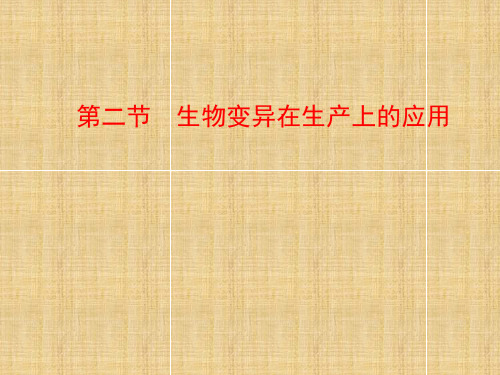 春高中生物 第四章 生物的变异 第二节 生物变异在生产上的应用课件 浙科版必修2