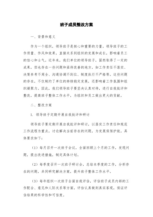 班子成员整改方案