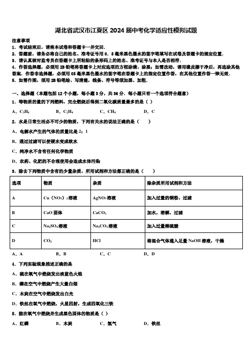 湖北省武汉市江夏区2024届中考化学适应性模拟试题含解析