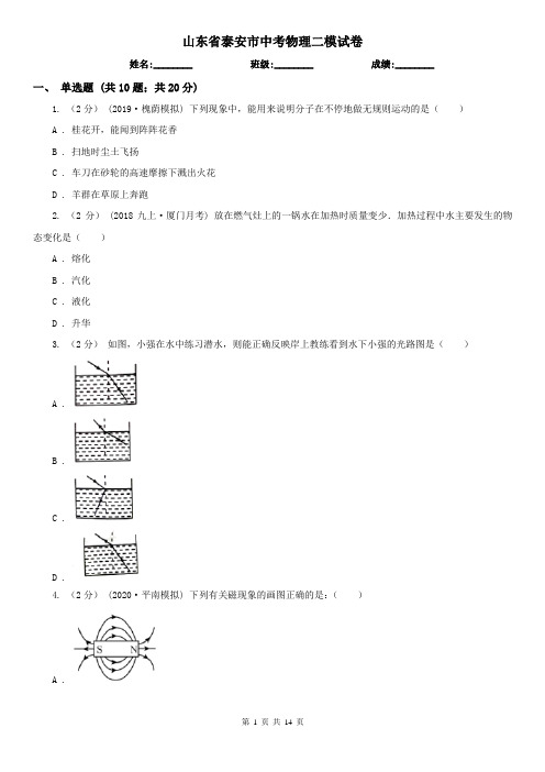 山东省泰安市中考物理二模试卷