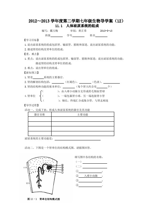 七年级生物下册导学案12