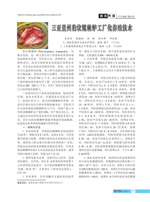 三亚崖州豹纹鳃棘鲈工厂化养殖技术