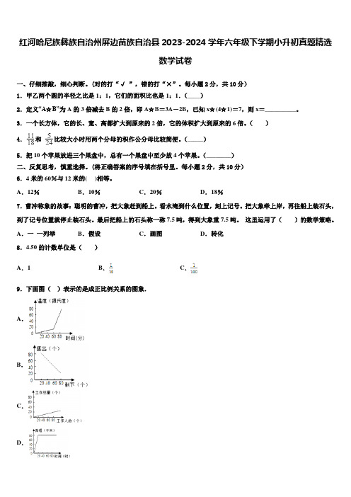 红河哈尼族彝族自治州屏边苗族自治县2023-2024学年六年级下学期小升初真题数学试卷含解析