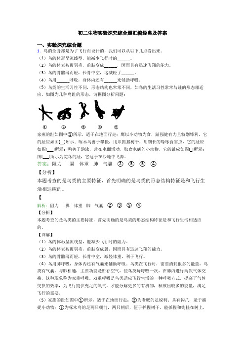 初二生物实验探究综合题汇编经典及答案