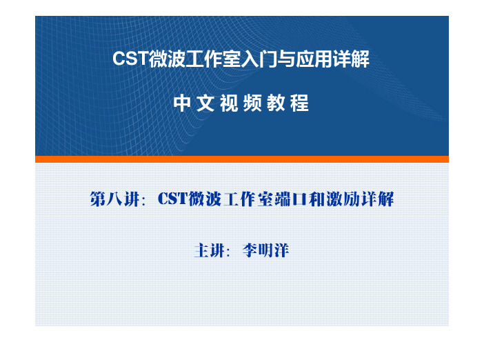 CST微波工作室视频培训教程讲义—激励