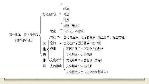 人教版高中政治必修三文化生活第一单元复习课件14页