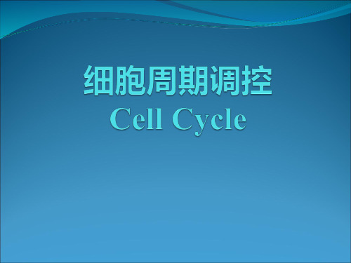 细胞周期的调控