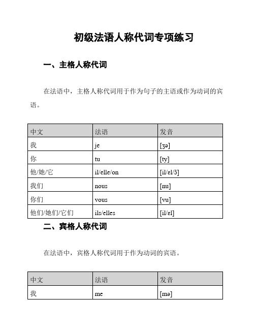 初级法语人称代词专项练习