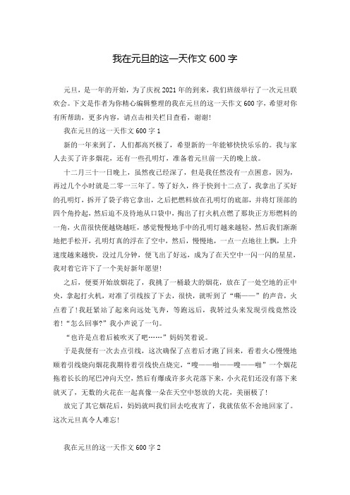 我在元旦的这一天作文600字