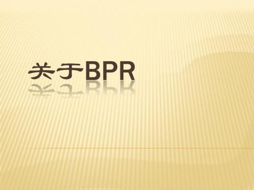 关于BPR