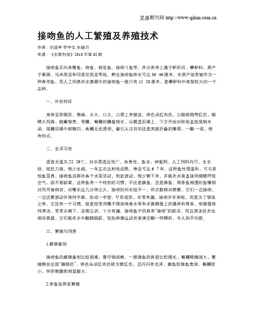 接吻鱼的人工繁殖及养殖技术