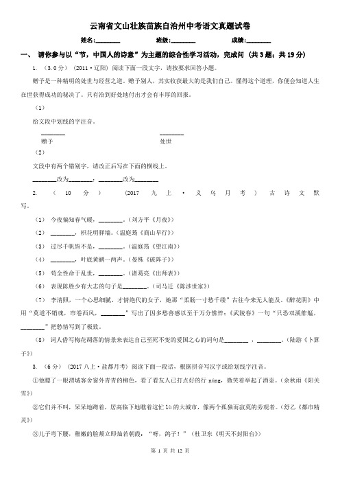 云南省文山壮族苗族自治州中考语文真题试卷