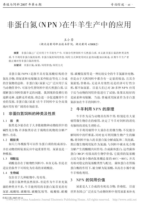 非蛋白氮_NPN_在牛羊生产中的应用_王小芬