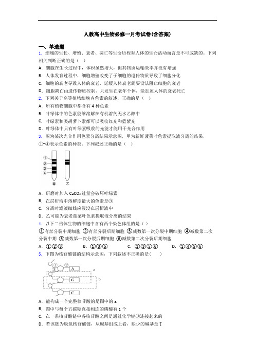 人教高中生物必修一月考试卷(含答案)