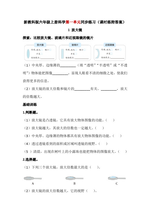 教科版科学六年级上册全册第一单元同步练习(附答案)分层作业