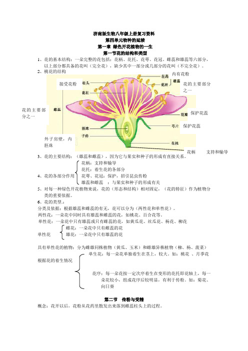 济南版初二生物上册知识点汇总