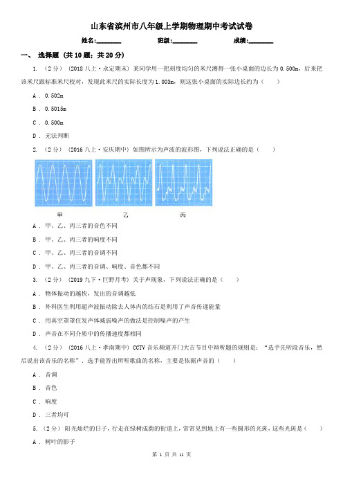 山东省滨州市八年级上学期物理期中考试试卷 