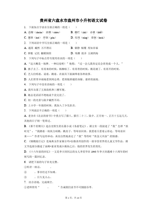 最新整理贵州省六盘水市盘州市小升初语文试卷和答案解析