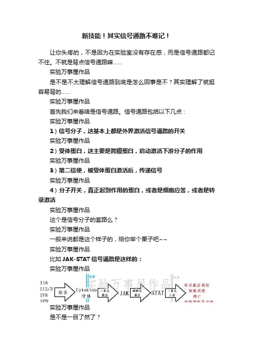 新技能！其实信号通路不难记！