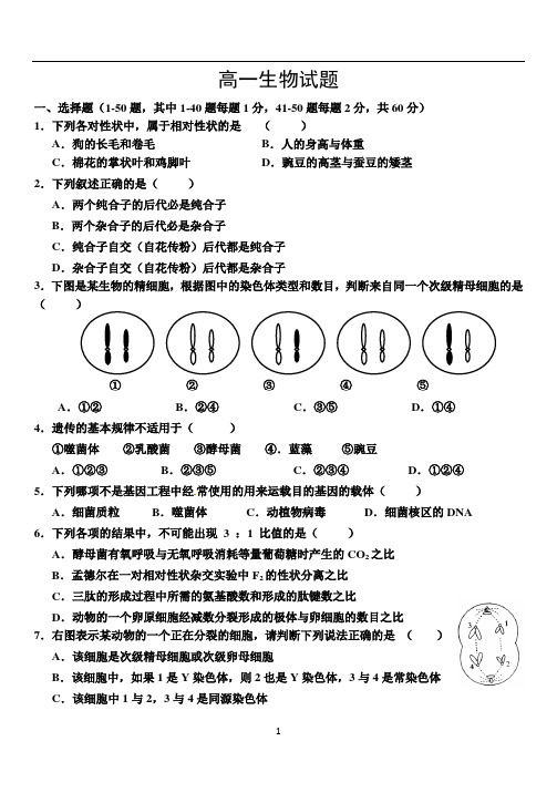 高一生物必修二下学期期末测验考试生物试题