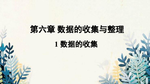 徐州市四中七年级数学上册第六章数据的收集与整理1数据的收集课件新版北师大版