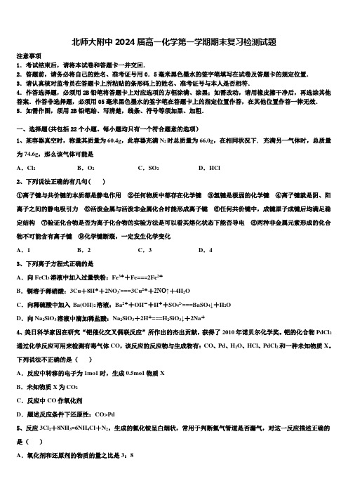 北师大附中2024届高一化学第一学期期末复习检测试题含解析