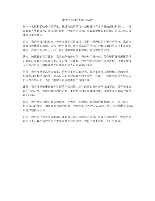 中考的学习计划和目标数