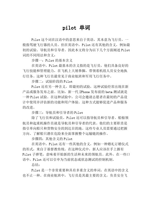 pilot 单词