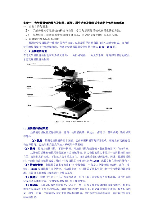 实验一：光学显微镜的操作及细菌