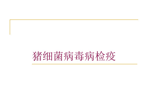 猪细菌病毒病检疫培训课件