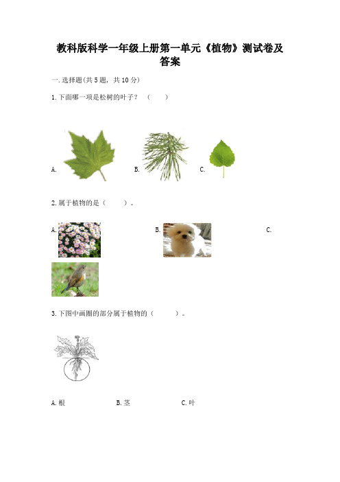 教科版科学一年级上册第一单元《植物》测试卷及答案附参考答案【能力提升】