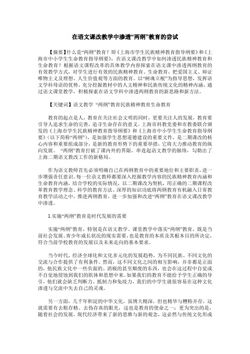 在语文课改教学中渗透“两纲”教育的尝试