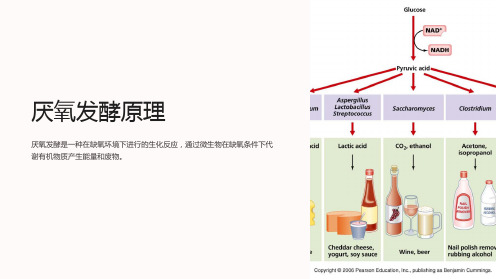 厌氧发酵原理