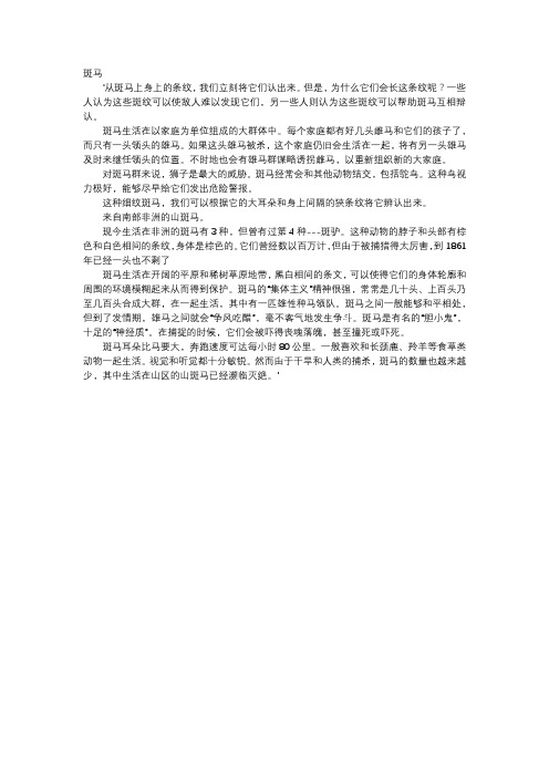 高中作文-斑马