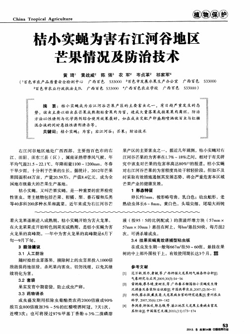 桔小实蝇为害右江河谷地区芒果情况及防治技术