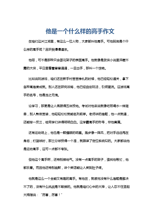 他是一个什么样的高手作文