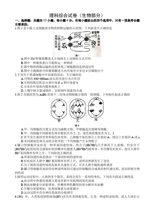 云南师大附中2019届高考适应性月考卷(六)理科综合试题 word