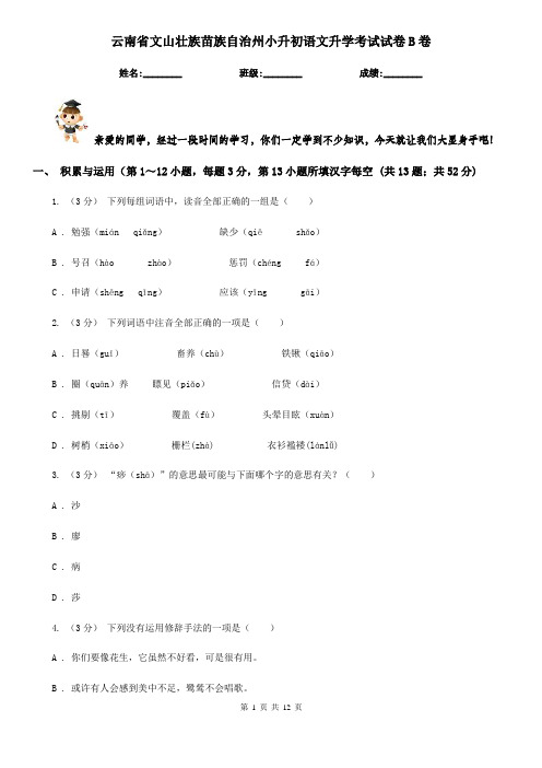 云南省文山壮族苗族自治州小升初语文升学考试试卷B卷