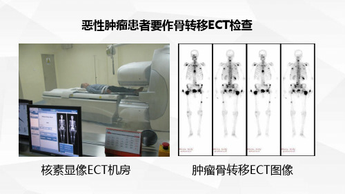 14 第五章 第三节 放射性活度