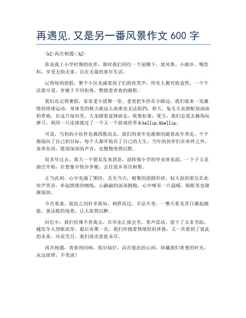 再遇见,又是另一番风景作文600字