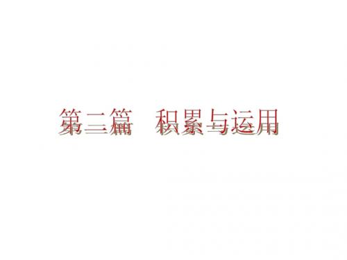 中考语文(人教版)总复习课件:专题一 识字与写字