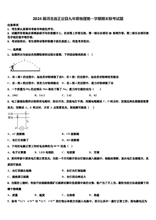 2024届河北省正定县九年级物理第一学期期末联考试题含解析