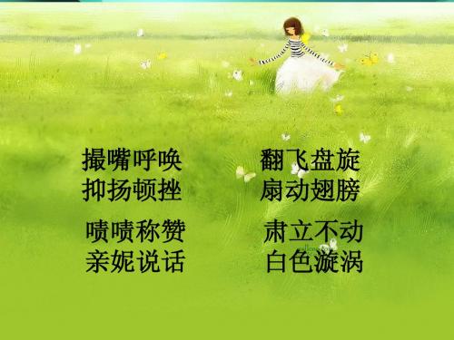 《老人与海鸥》ppt课件11