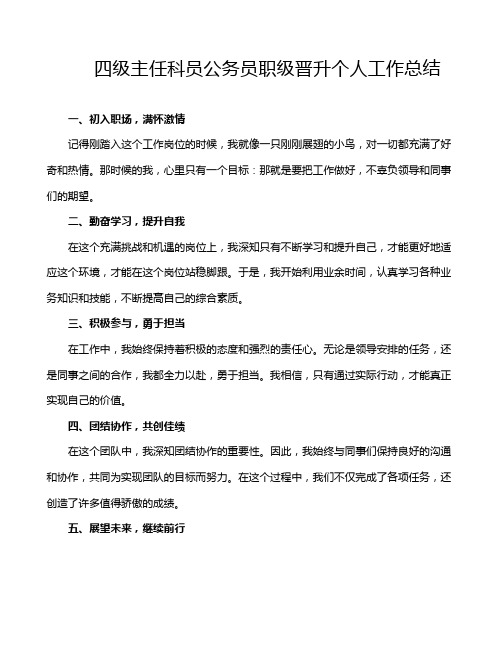 四级主任科员公务员职级晋升个人工作总结