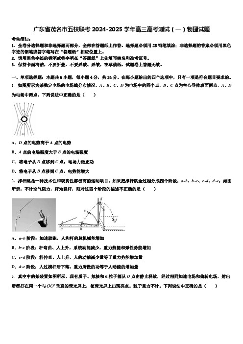 广东省茂名市五校联考2024-2025学年高三高考测试(一)物理试题含解析